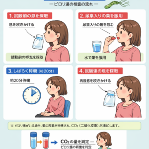 ピロリ菌除菌で行う尿素呼気試験とは検査前の注意点を解説