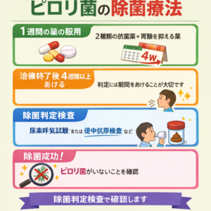 ピロリ菌除菌治療の流れ・副作用・除菌判定・費用
